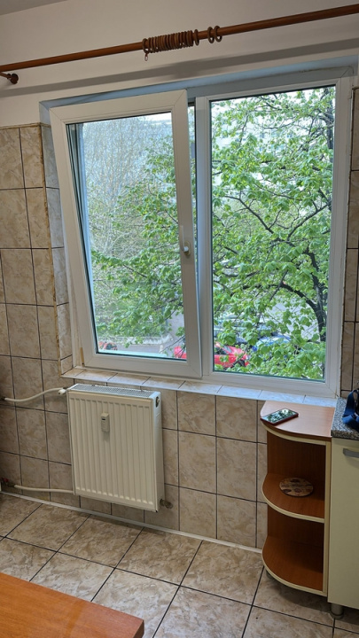 Dristor, Garsoniera | Balcon | Etaj Intermediar, Posibilitate Centrala — fotografie 7