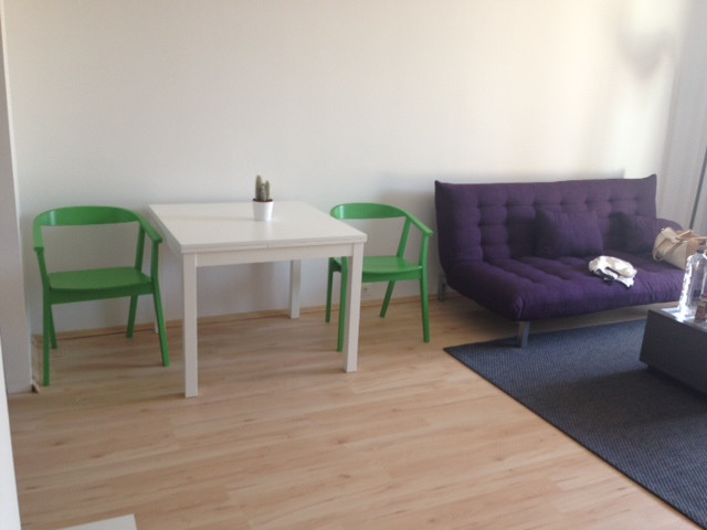  Apartament 2 Camere | Parter cu terasa de 35mp | Herastrau Bucuresti — fotografie 8