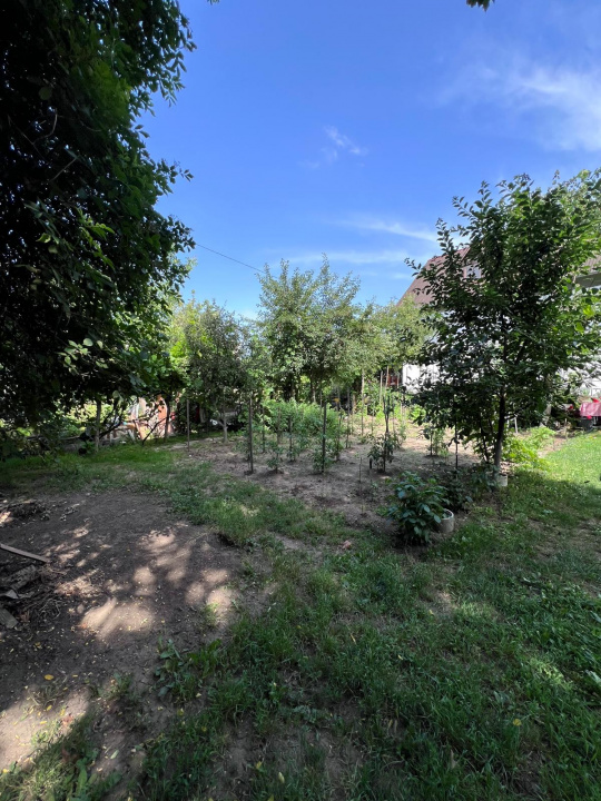 Casa | 4 Camere | 126 mp | 2 băi | 2 terase | teren de 635 mp  — fotografie 10