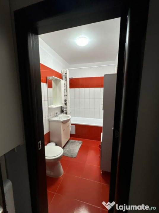 Apartament 2 Camere 1 Decembrie Bucuresti — fotografie 6