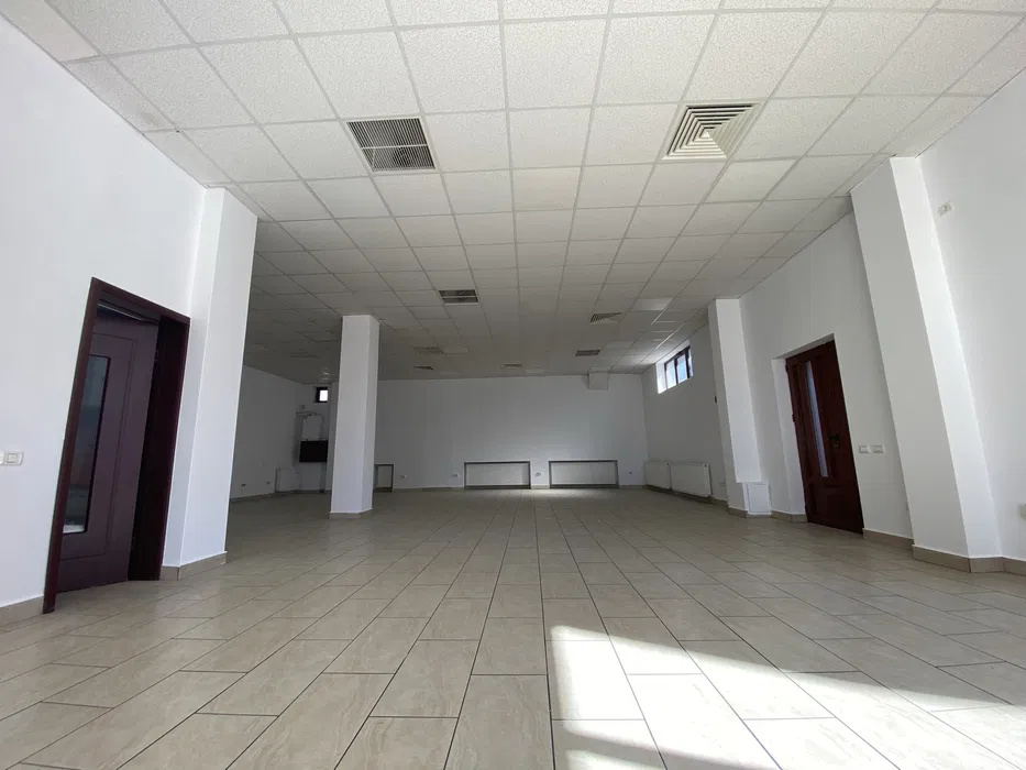Spatiu comercial zona Exercitiu-Teilor — fotografie 2