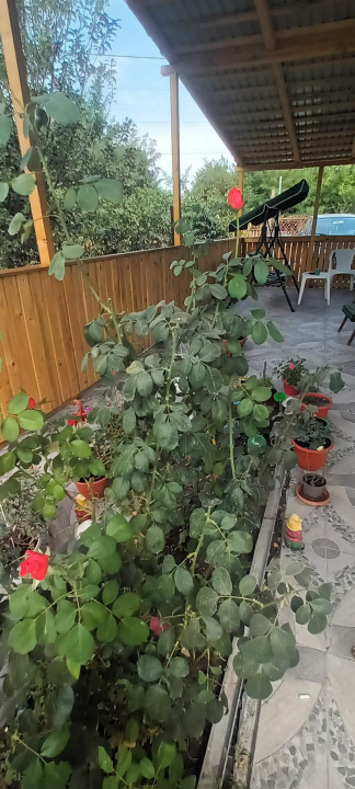 Casa  2 Camere Spantov Calarasi — fotografie 3