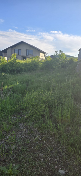 Teren intravilan | 1600 mp | Zona linistita  — fotografie 2
