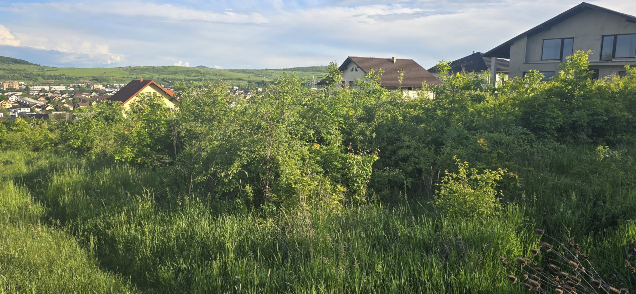 Teren intravilan | 1600 mp | Zona linistita  — fotografie 6