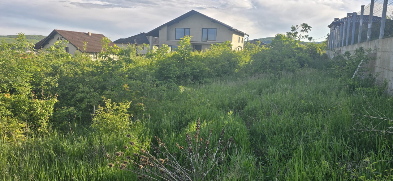 Teren intravilan | 1600 mp | Zona linistita  — fotografie 3