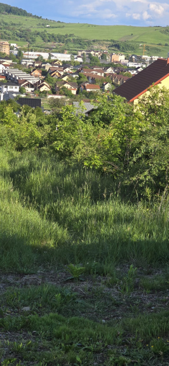 Teren intravilan | 1600 mp | Zona linistita  — fotografie 9
