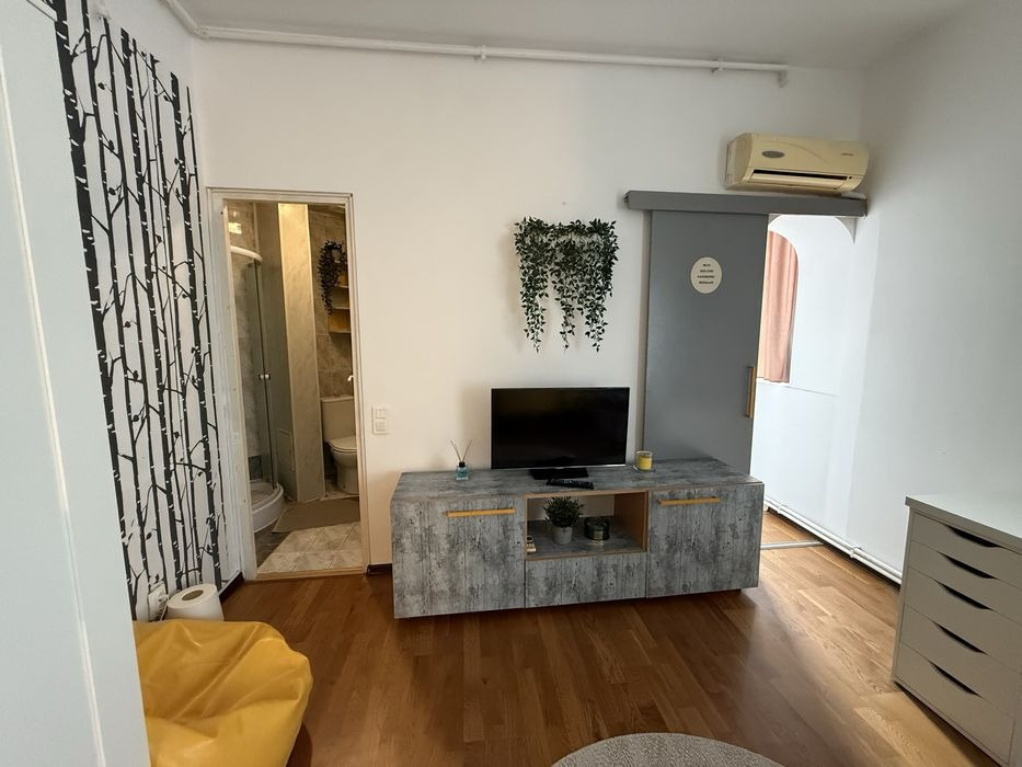 Garsoniera Cismigiu Bucuresti — fotografie 4