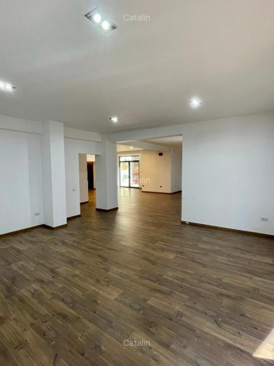 Apartament 5 Camere | Floreasca-Aviatiei | Bucuresti | 270mp+260mp Curte Privata — fotografie 11