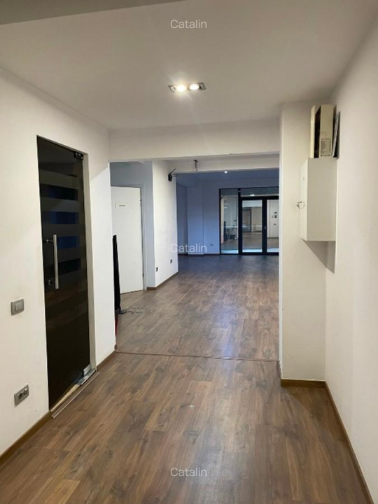 Apartament 5 Camere | Floreasca-Aviatiei | Bucuresti | 270mp+260mp Curte Privata — fotografie 14
