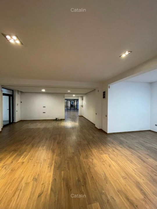 Apartament 5 Camere | Floreasca-Aviatiei | Bucuresti | 270mp+260mp Curte Privata — fotografie 10