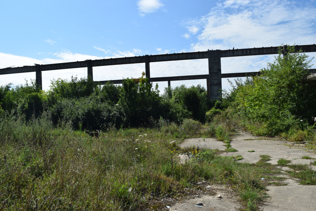 Teren intravilan | Fosta fabrică de placaje | Deta Timis  — fotografie 2