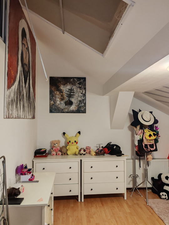  Apartament 3 Camere Ozana Mansarda Centrala Proprie  — fotografie 6