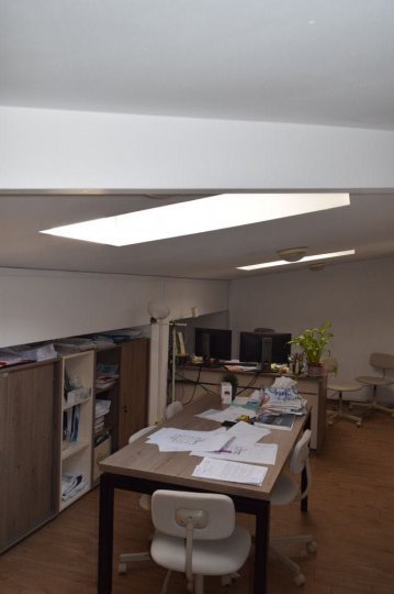 Vila / Cladire de Birouri | Basarab, Banu Manta | 650mp , 12 camere — fotografie 11