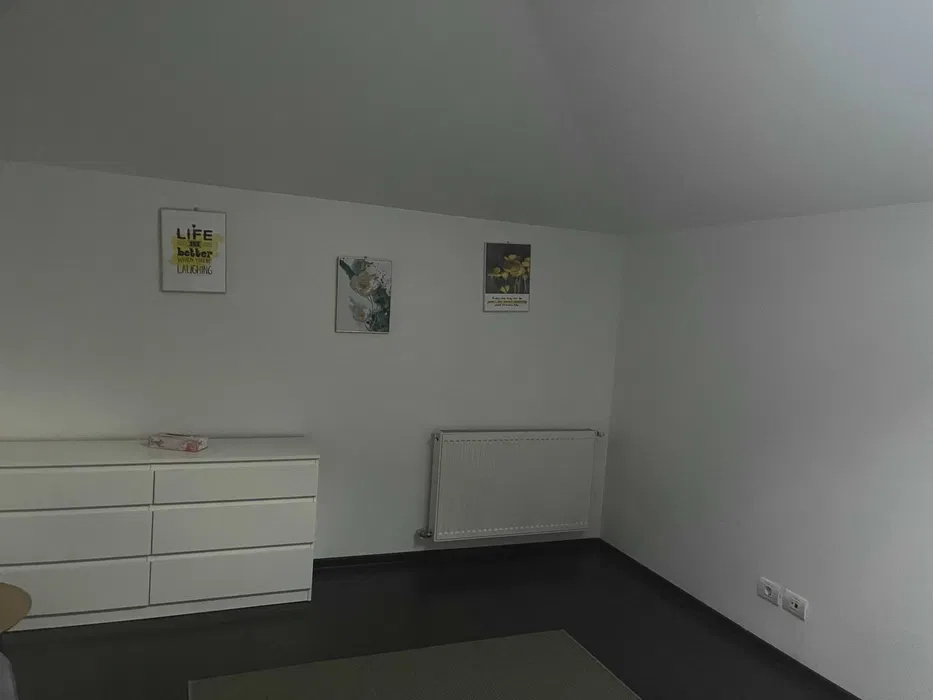  Apartament 3 Camere Cismigiu Bucuresti — fotografie 5