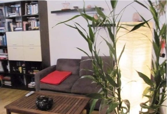  Apartament 2 Camere P-ta Universitatii Bucuresti — fotografie 2