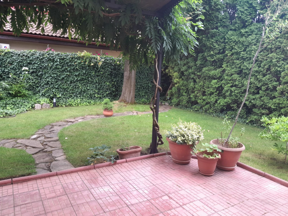 Vila 4 Camere Iancu Nicolae Bucuresti — fotografie 14