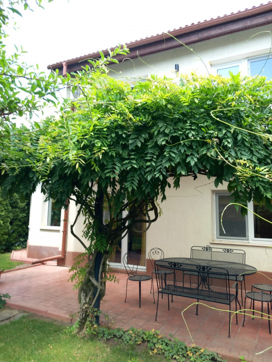 Vila 4 Camere Iancu Nicolae Bucuresti — fotografie 15