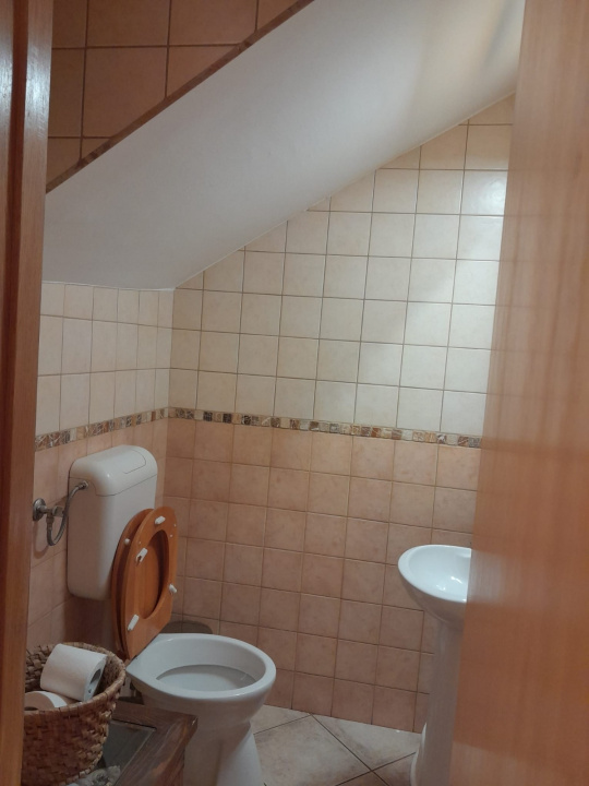 Vila 4 Camere Iancu Nicolae Bucuresti — fotografie 10