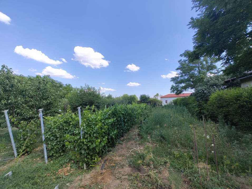 Casa  4 Camere Frumusani COMISION 0 — fotografie 26