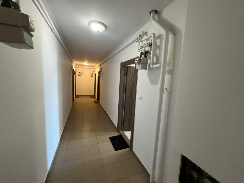 Garsoniera Titan Bucuresti I Stefan Residence I Parcul Tei — fotografie 14