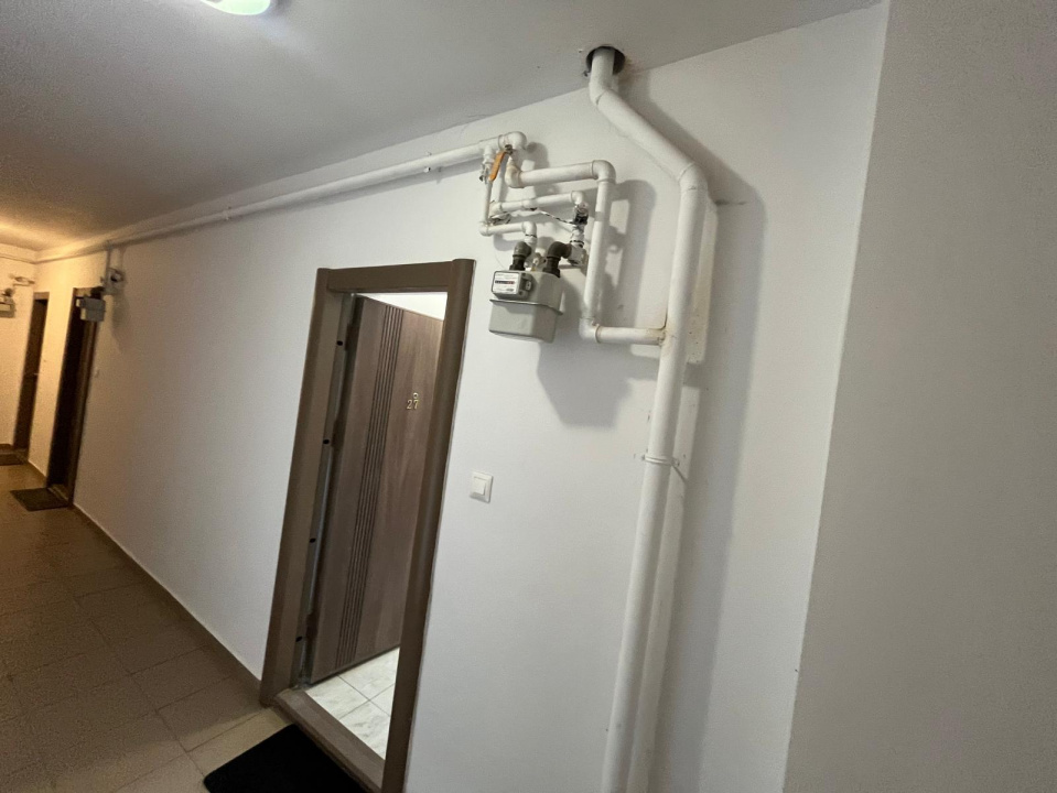 Garsoniera Titan Bucuresti I Stefan Residence I Parcul Tei — fotografie 15