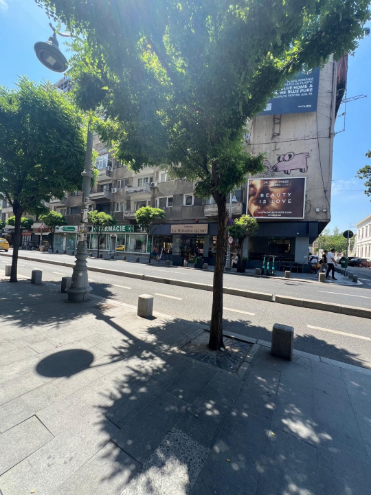 Apartament 2 Camere Calea Victoriei Bucuresti — fotografie 24