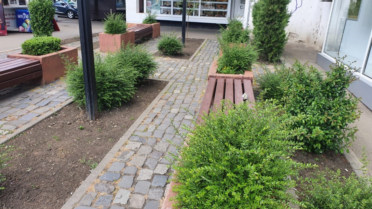 2 Camere | Ultracentral Hale | Renovat 2021  | 1x loc parcare — fotografie 25