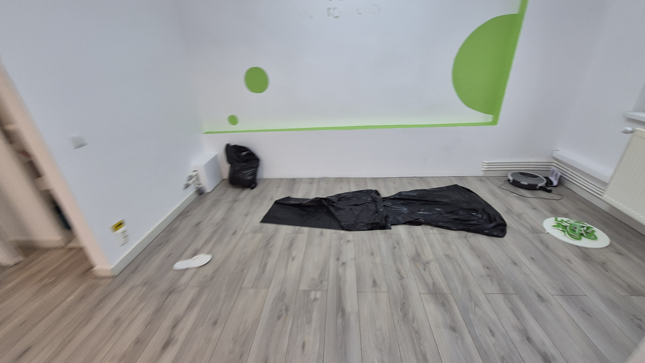 Spatiu Comercial Tei — fotografie 3