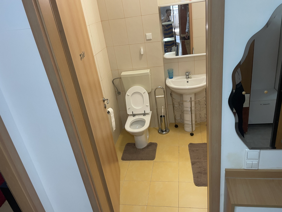  Apartament Spatios 3 Camere Doamna Ghica Plaza  — fotografie 18