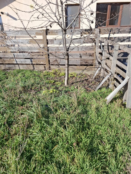 Tartasesti I Casa + Curte Individuală I 500mp Teren I Centrala I  — fotografie 30