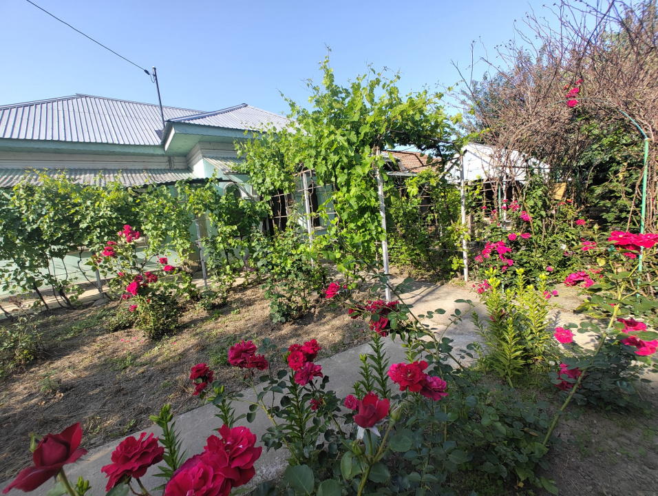 Casa 3 Camere Central Soldanu — fotografie 2