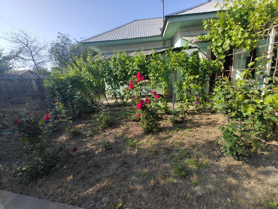 Casa 3 Camere Central Soldanu — fotografie 25