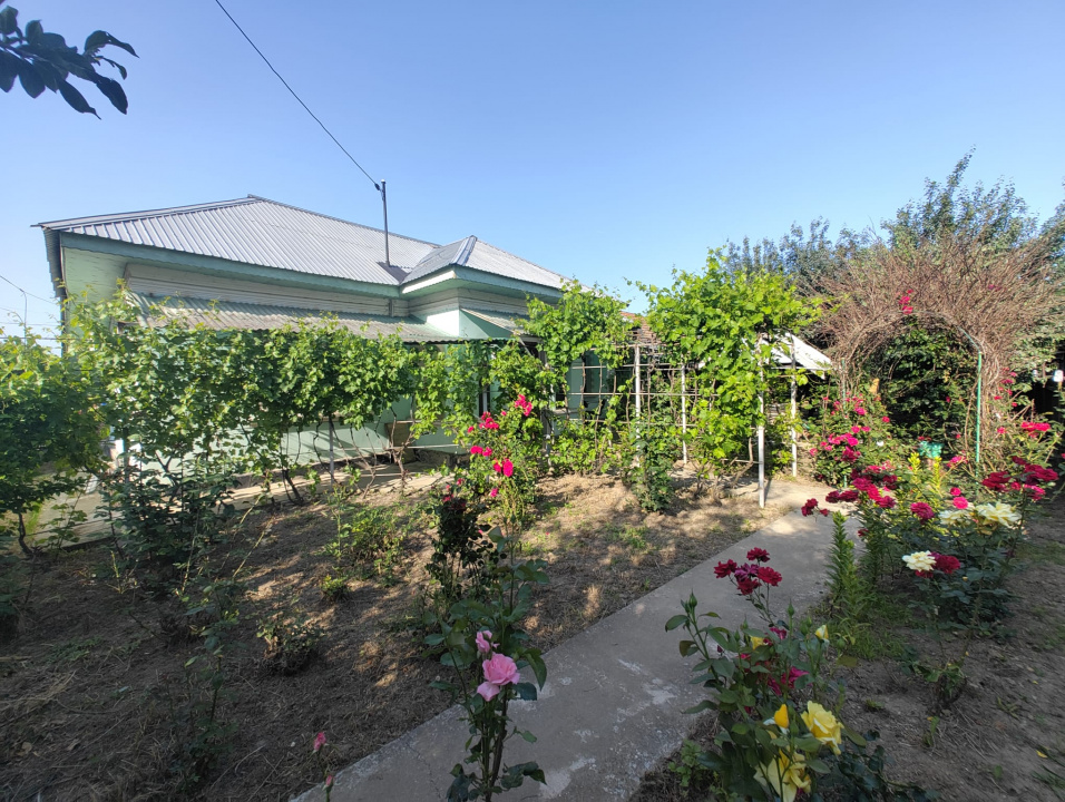 Casa 3 Camere Central Soldanu — fotografie 3