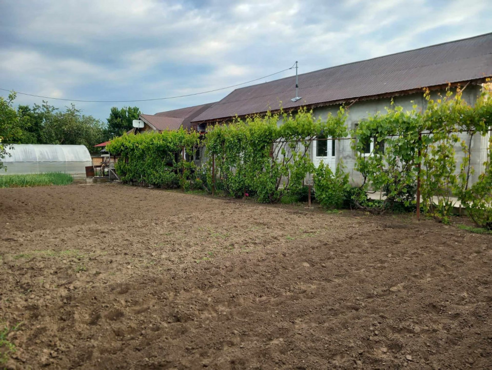 Casa 5 Camere Radovanu-Calarasi — fotografie 17