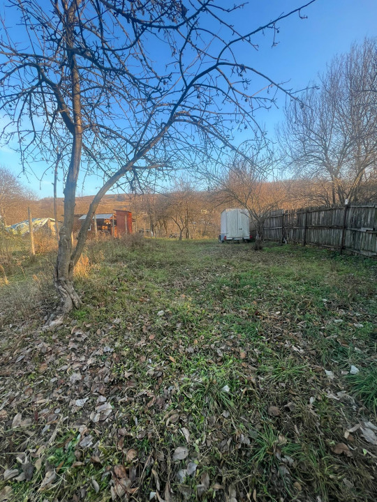 Stefanesti Teren 576mp Intravilan Arges  — fotografie 4