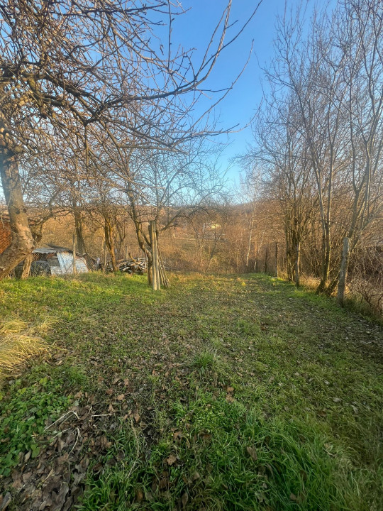 Stefanesti Teren 576mp Intravilan Arges  — fotografie 5