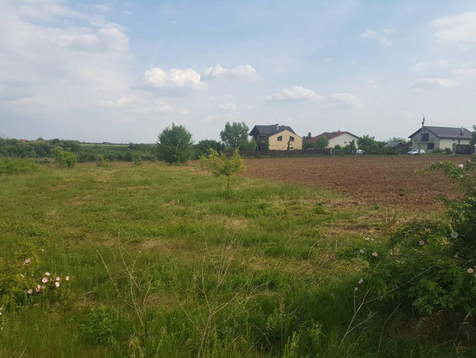 Peris - Ilfov | Teren Intravilan 1000Mp | Deschidere Lac | Planul 2 — fotografie 2