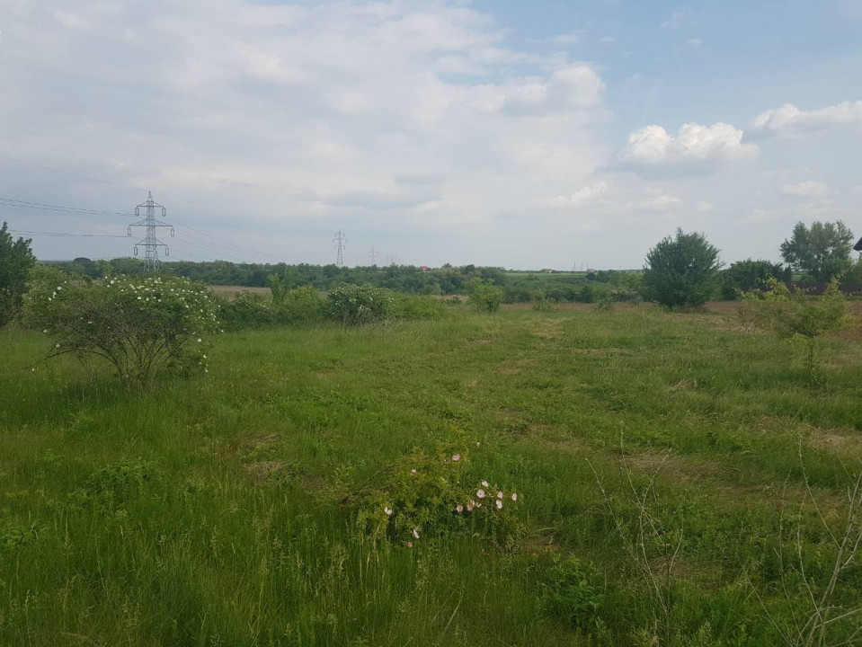 Peris - Ilfov | Teren Intravilan 1000Mp | Deschidere Lac | Planul 2 — fotografie 5