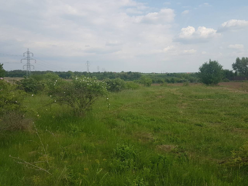 Peris - Ilfov | Teren Intravilan 1000Mp | Deschidere Lac | Planul 2 — fotografie 6