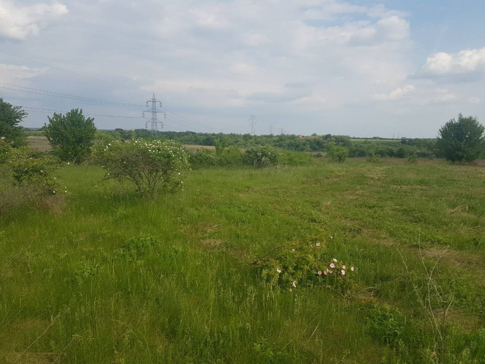 Peris - Ilfov | Teren Intravilan 1000Mp | Deschidere Lac | Planul 2 — fotografie 7