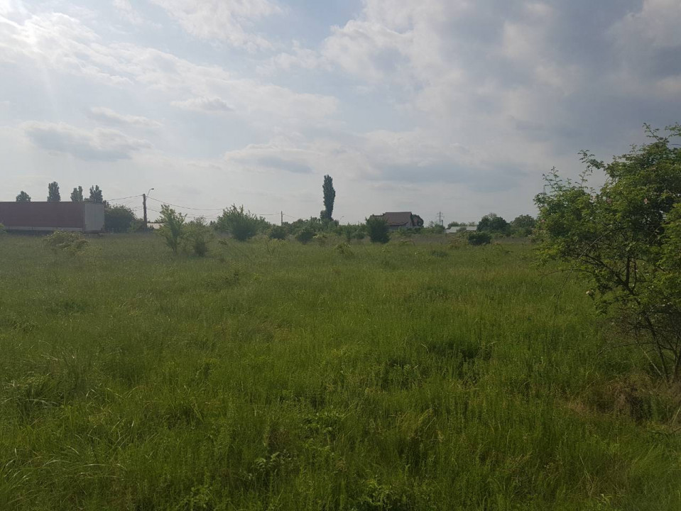 Peris - Ilfov | Teren Intravilan 1000Mp | Deschidere Lac | Planul 2 — fotografie 8