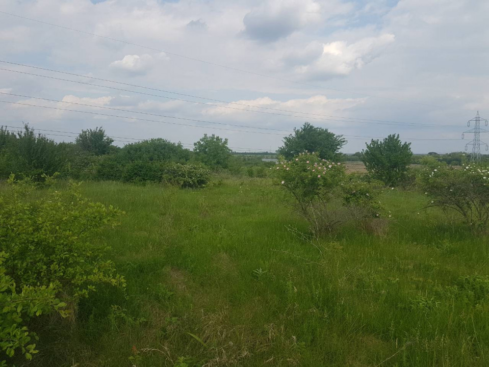 Peris - Ilfov | Teren Intravilan 1000Mp | Deschidere Lac | Planul 2 — fotografie 9