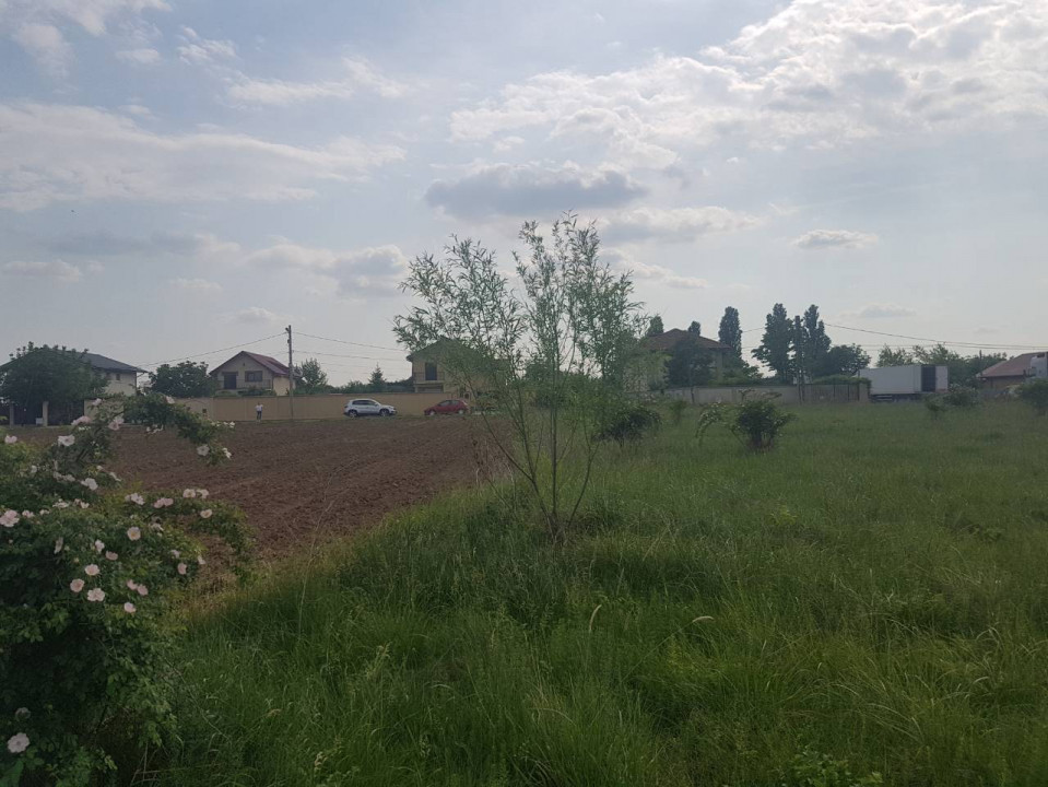 Peris - Ilfov | Teren Intravilan 1000Mp | Deschidere Lac | Planul 2 — fotografie 10