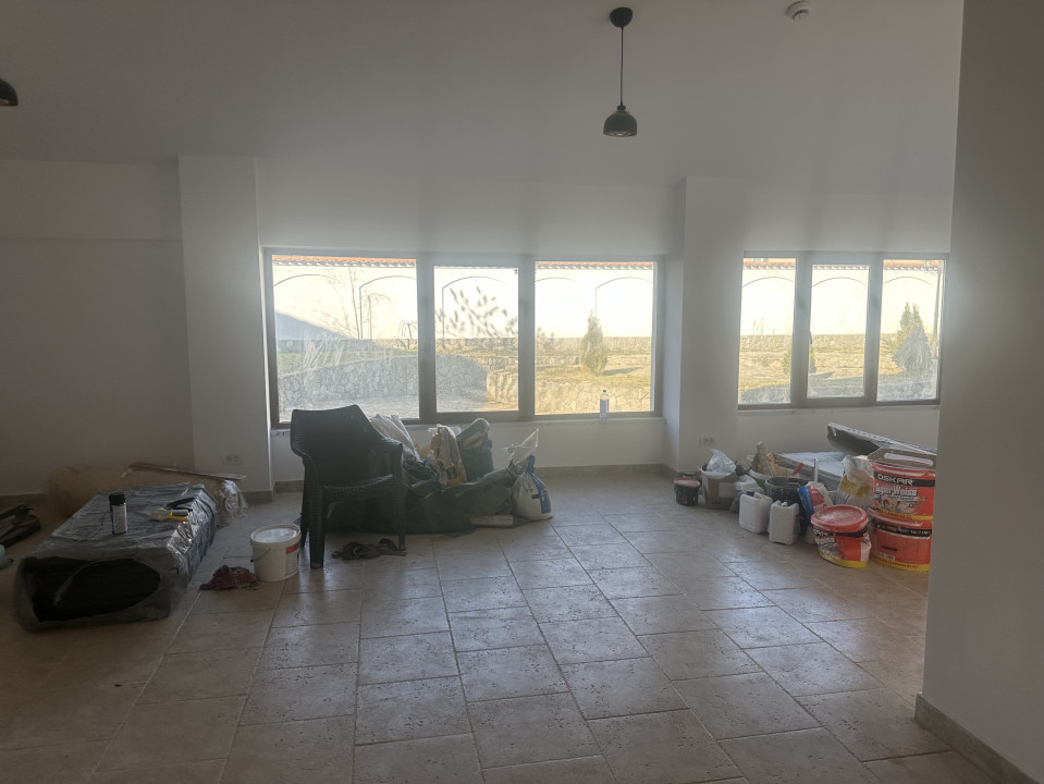 Vila tip pensiune  10 Camere  Snagov — fotografie 28
