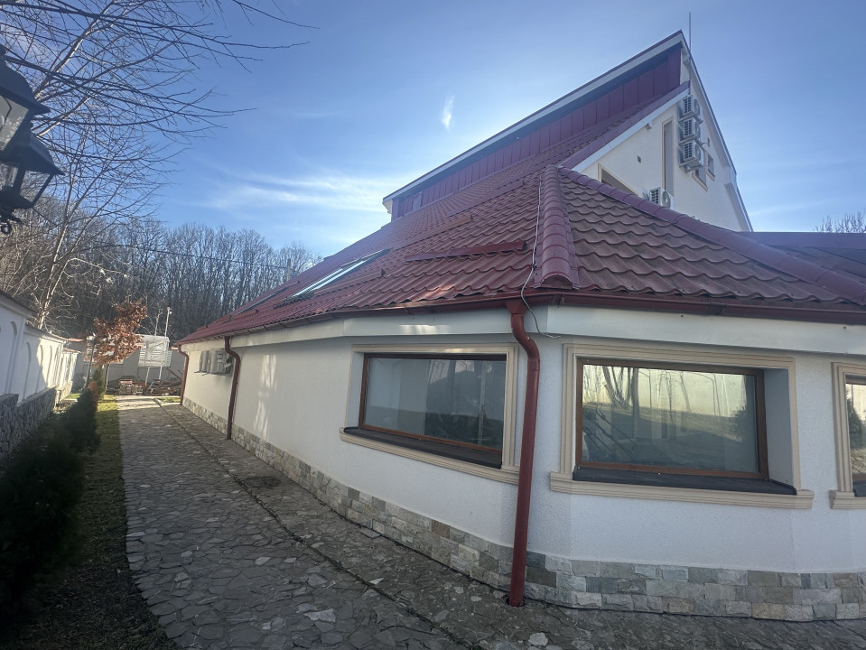 Vila tip pensiune  10 Camere  Snagov — fotografie 38