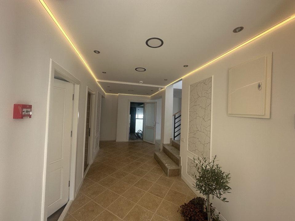 Vila tip pensiune  10 Camere  Snagov — fotografie 45