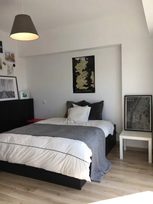 Duplex  Bucuresti Parcul Carol — fotografie 10
