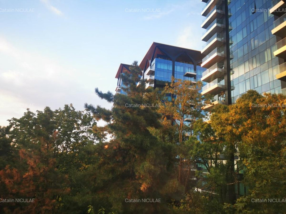 Apartament 3 Camere Floreasca Bucuresti — fotografie 8