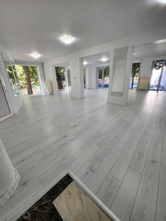Spatiu Birouri 1 Camere P-ta Unirii Bucuresti — fotografie 3
