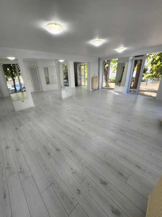 Spatiu Birouri 1 Camere P-ta Unirii Bucuresti — fotografie 4